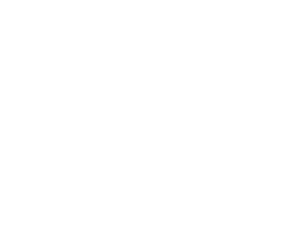 world-of-psalmopoeinae.de